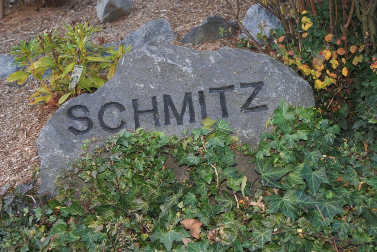 Schmitz * Anschau